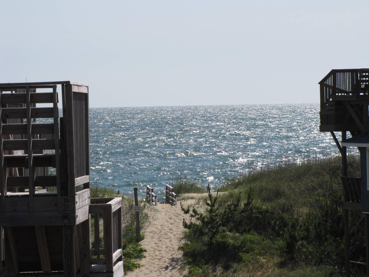 Laughing Gull Cottage Pet Policy