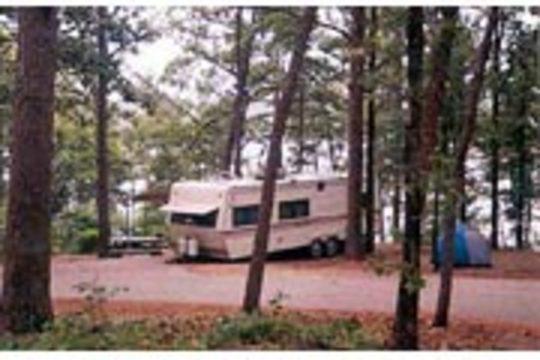 Iron Mountain Campground Pet Policy