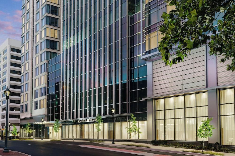 Pet Friendly AC Hotel by Marriott Bethesda Downtown