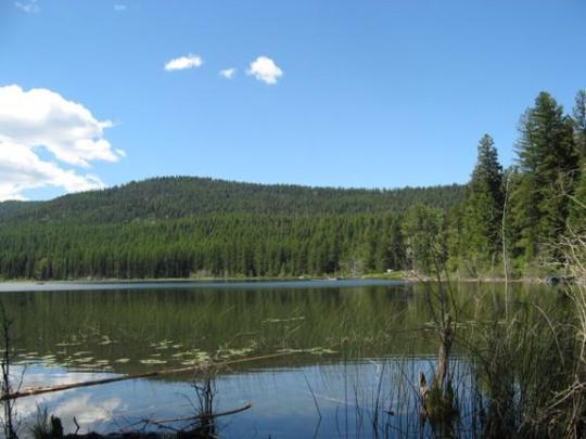 Pet Friendly Lost Lake Group Unit Campground