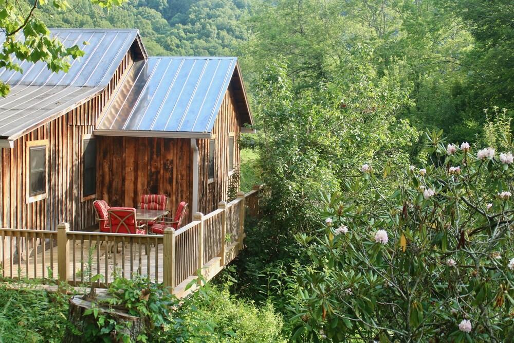 Pet Friendly Rustic Updated Cabin Appalachian Country