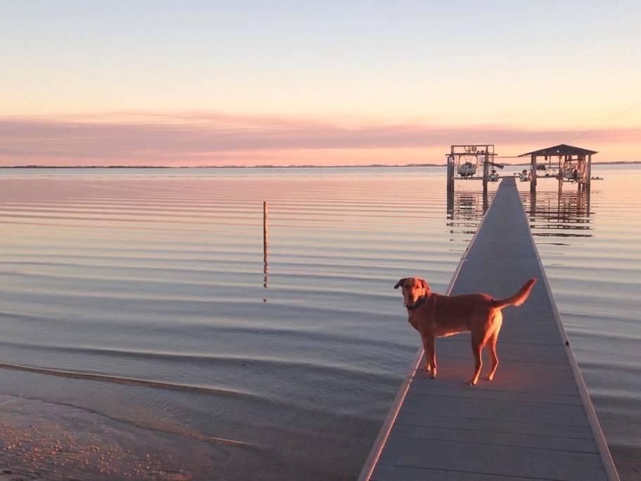 Pet Friendly Ferry Pass Airbnb Rentals