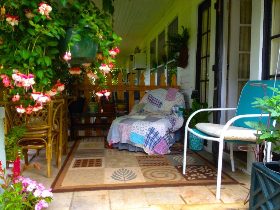 Pet Friendly Vilas Airbnb Rentals