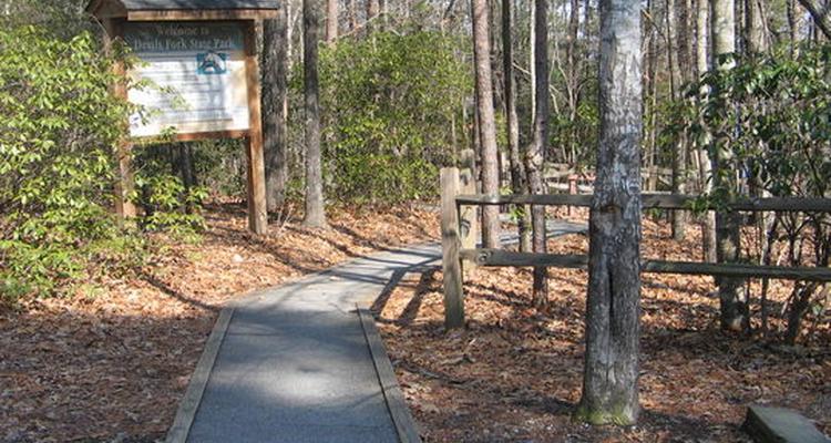 Devils Fork Campground Pet Policy