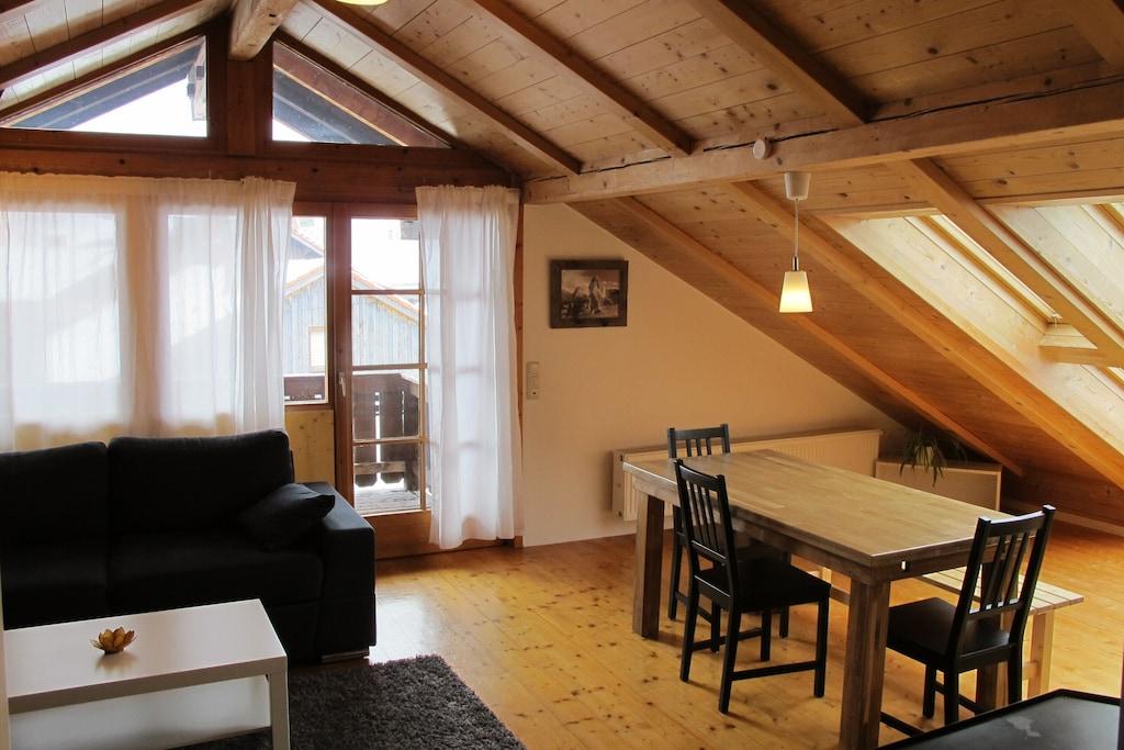 pet friendly vacation rentals in germany bringfido