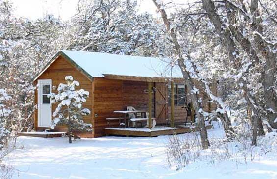 Pet Friendly Campgrounds In Colorado Bringfido