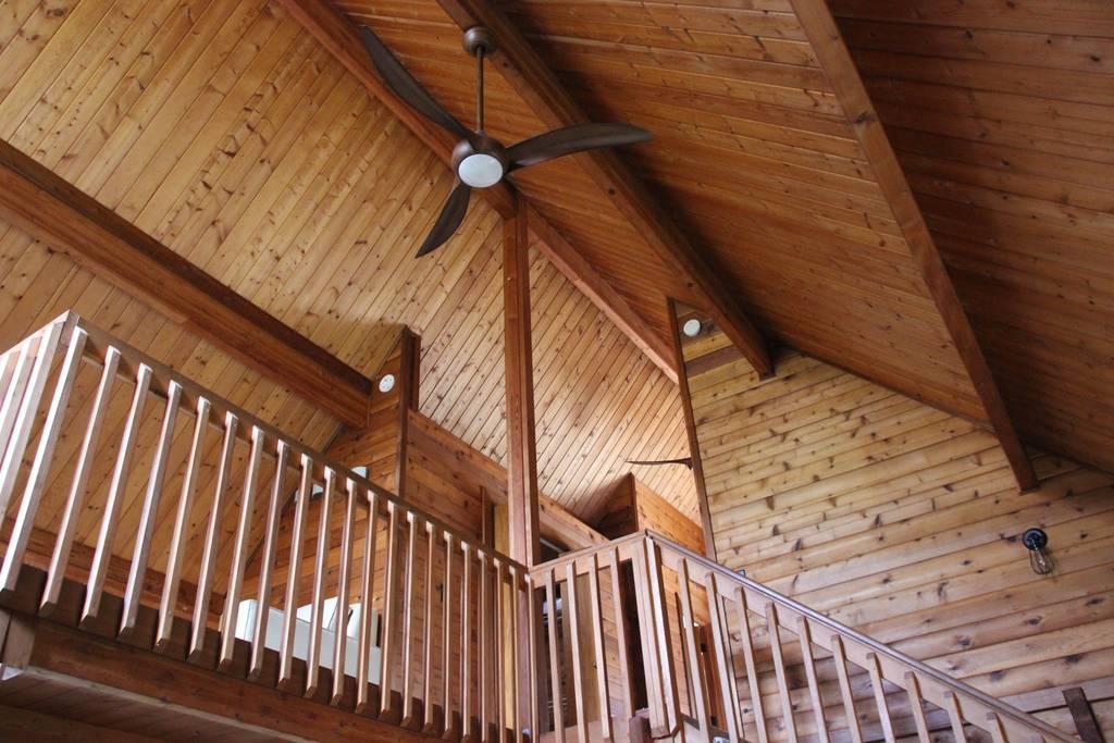 Volcano Airbnb Rentals Pet Policy