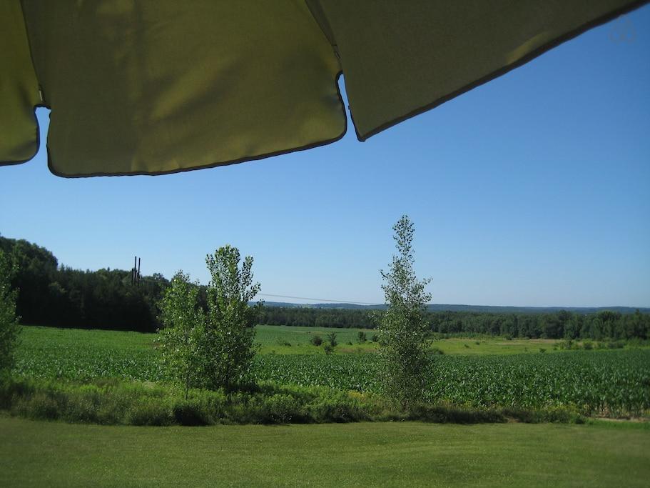 Eau Claire Airbnb Rentals Pet Policy
