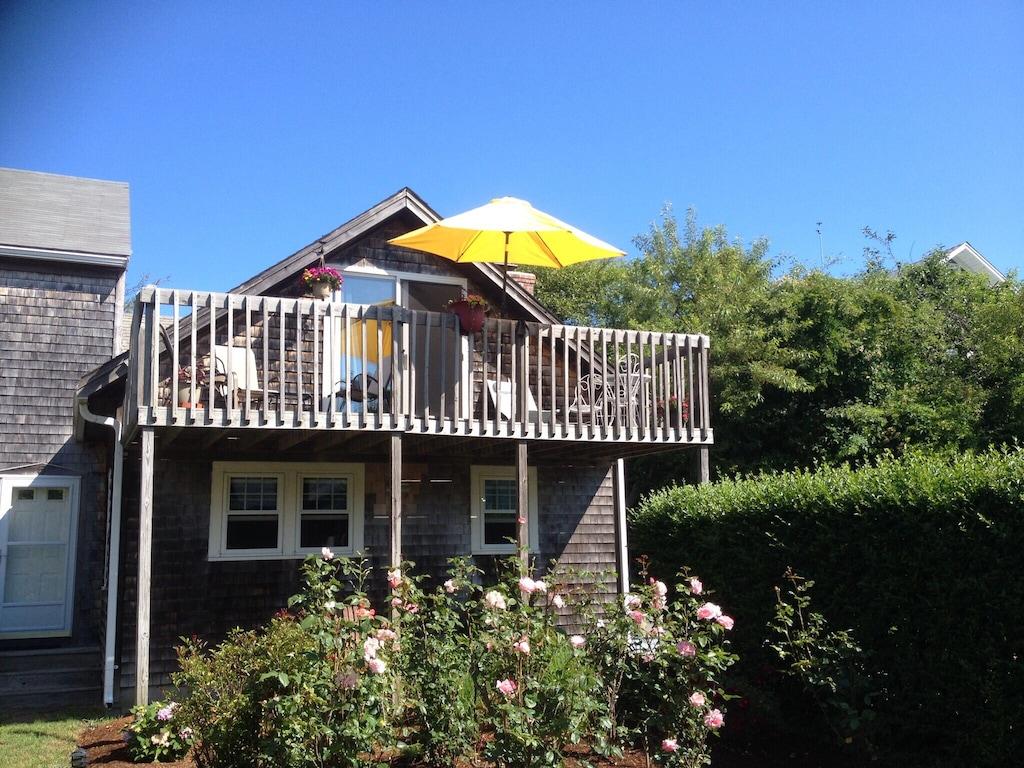 Provincetown Lodge Pet Policy