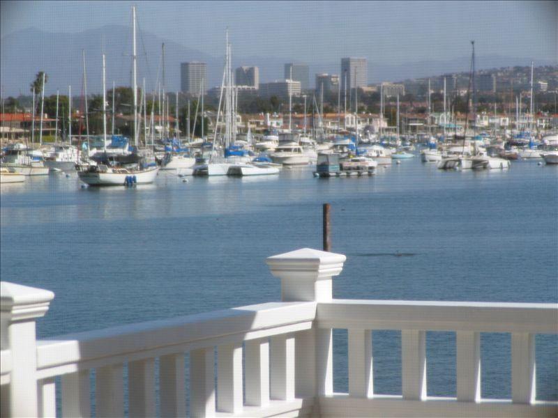 VRBO Lake Forest Pet Policy