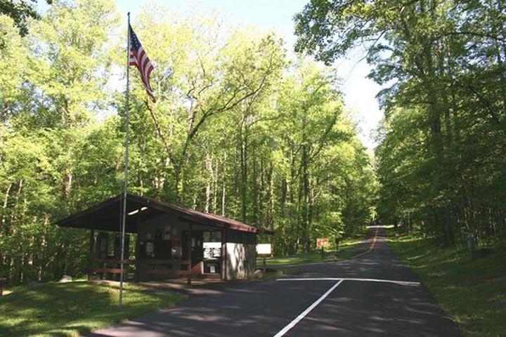 Pet Friendly Cosby Campground