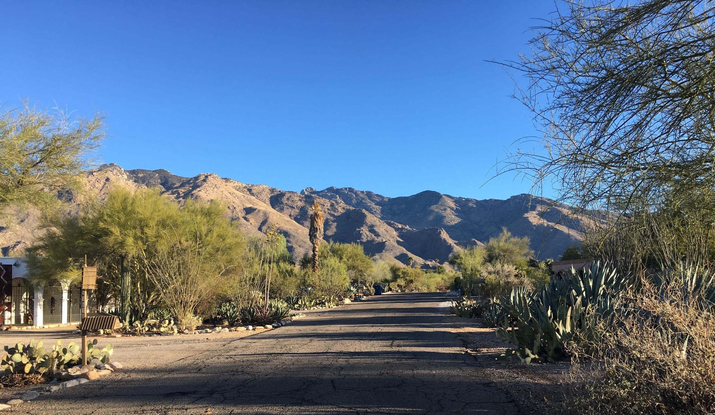 Pet Friendly Art-Filled Catalina Foothills-View Home on 1 Acre