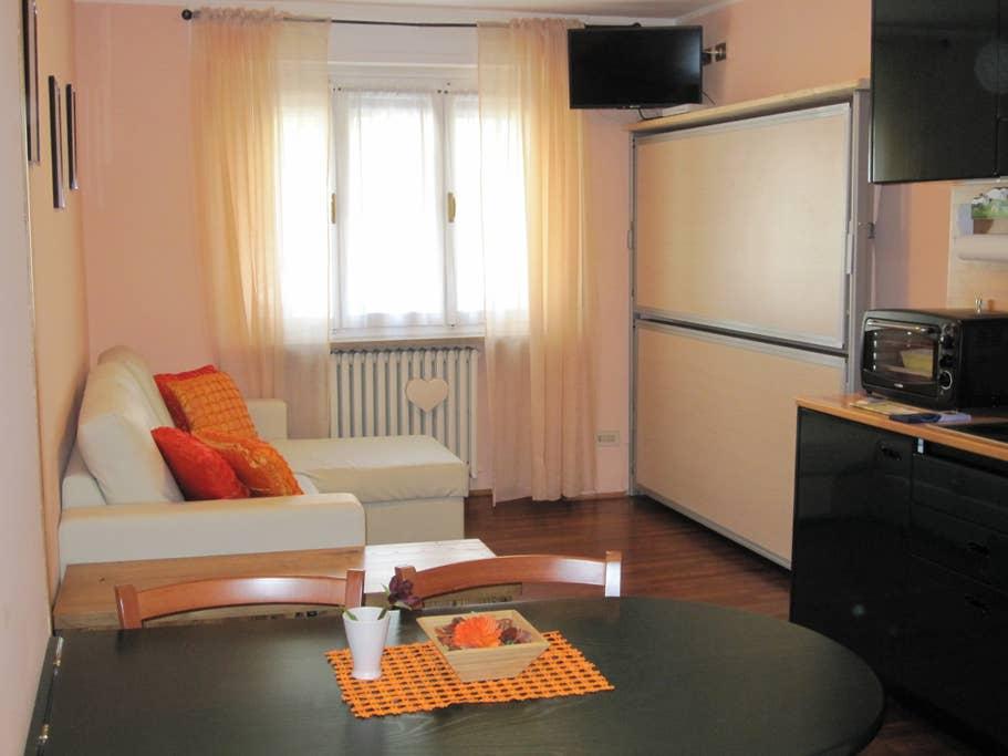 Cervinia Airbnb Rentals Pet Policy