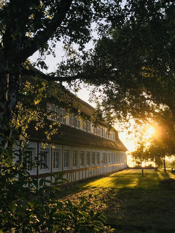 Pet Friendly Hof Norderlück - Das Ostseehotel Unter Reet