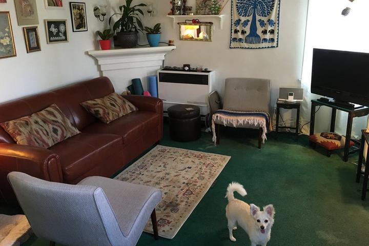 Pet Friendly Huntington Park Airbnb Rentals
