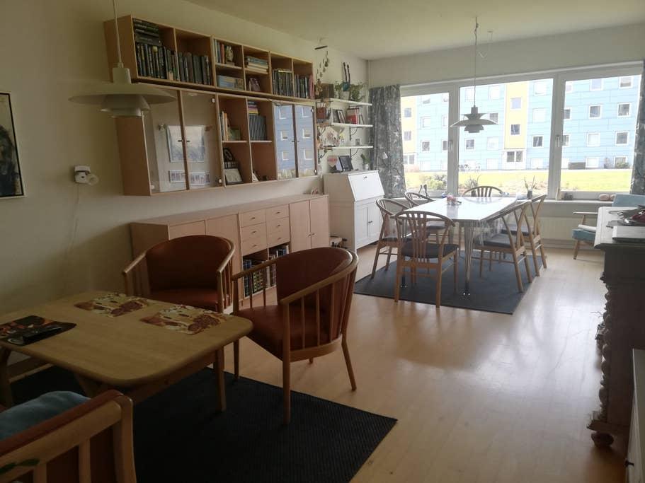 Pet Friendly Brabrand Airbnb Rentals