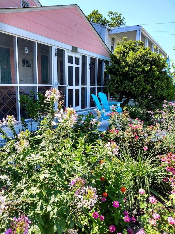 Pet Friendly Vacation Rentals In Virginia Beach Va Bringfido Pet Friendly Vacation Rentals In Virginia Beach Va Bringfido