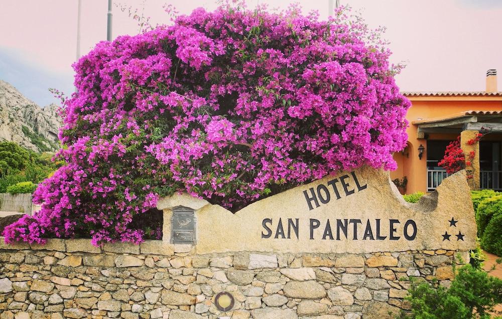 Pet Friendly Hotel San Pantaleo