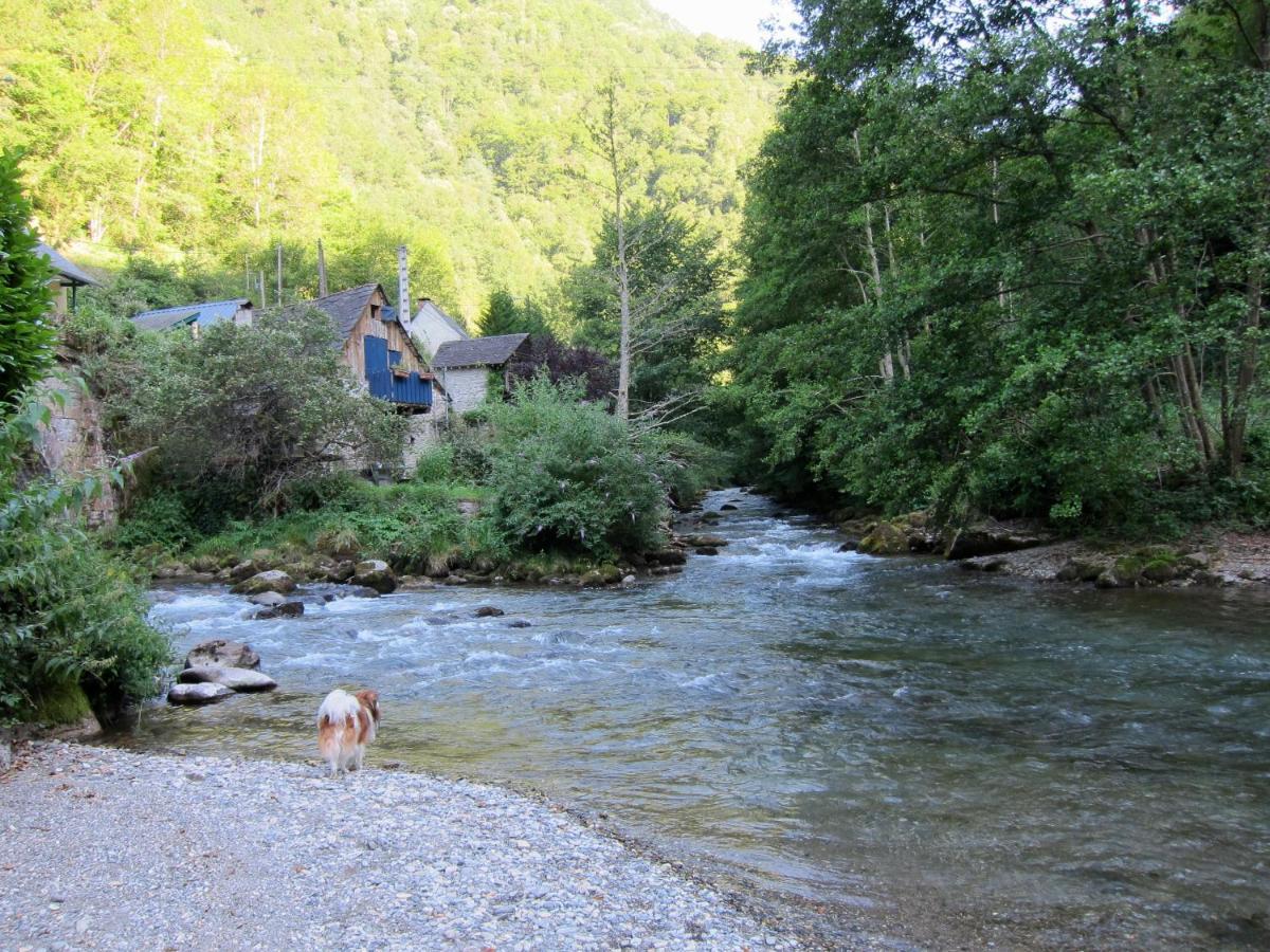 Pet Friendly Auberge Des Deux Rivières