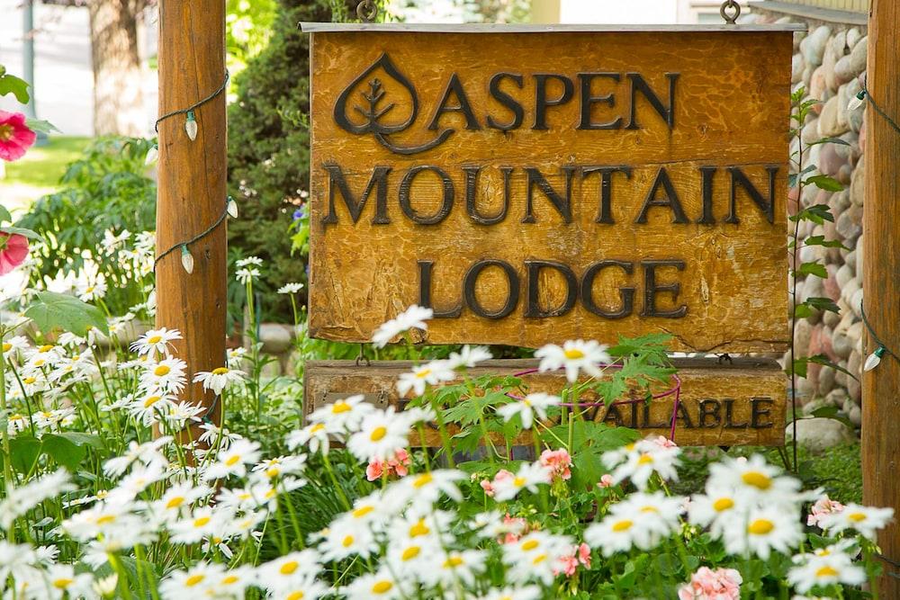 Pet Friendly Aspen Mountain Lodge