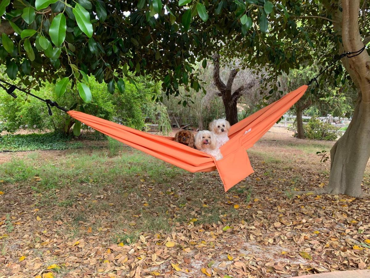 Pet Friendly Rancho Garden Home