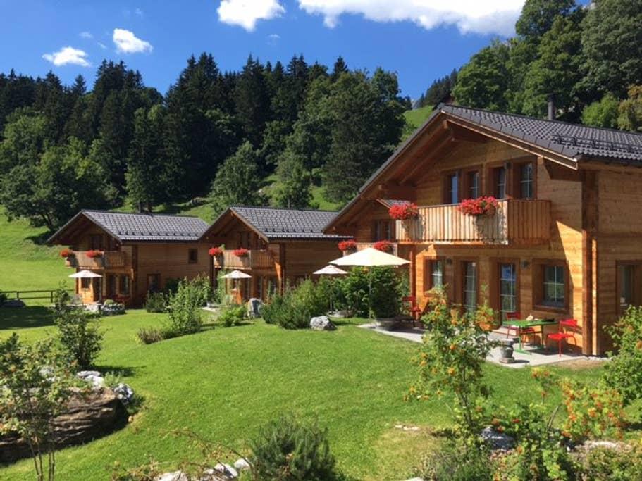 Pet Friendly Braunwald Airbnb Rentals