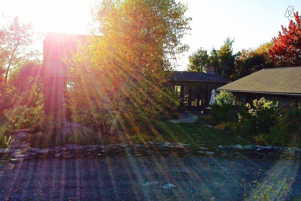 East Chatham Airbnb Rentals Pet Policy