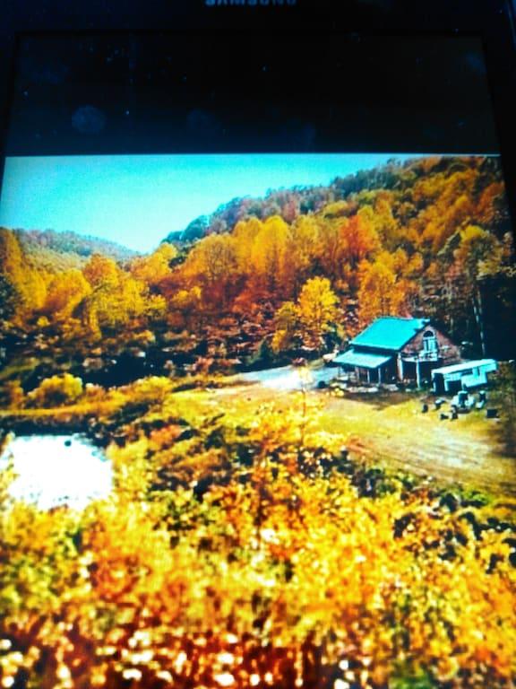 Pet Friendly Hotels in Layland, WV BringFido