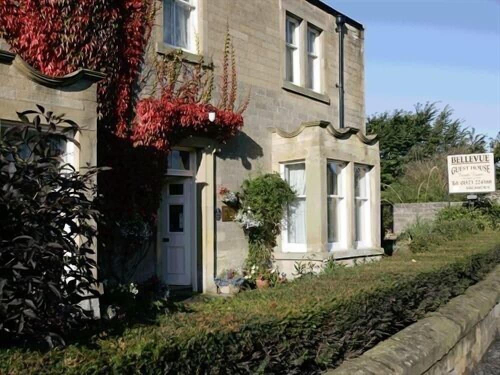 Pet Friendly Bellevue Guest House