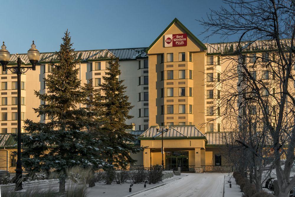 Best Western Winnipeg Airport Hotel Pet Policy