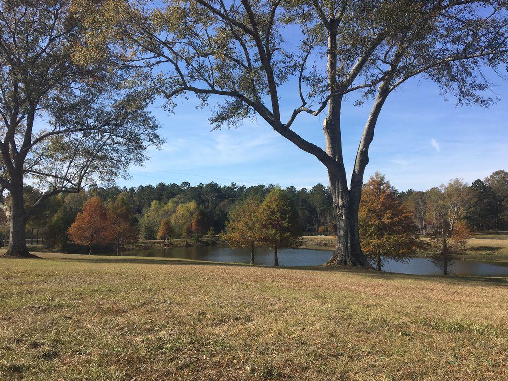 Pet Friendly Vacation Rentals In Hattiesburg Ms Bringfido