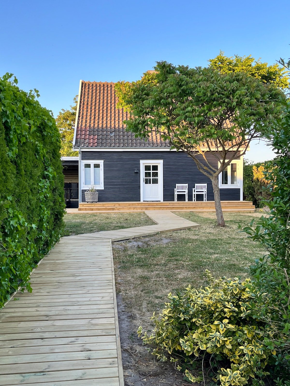 Picture of an airbnb that allows dogs in Mosebølle, DK.