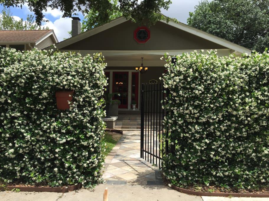 Pet Friendly Houston Airbnb Rentals