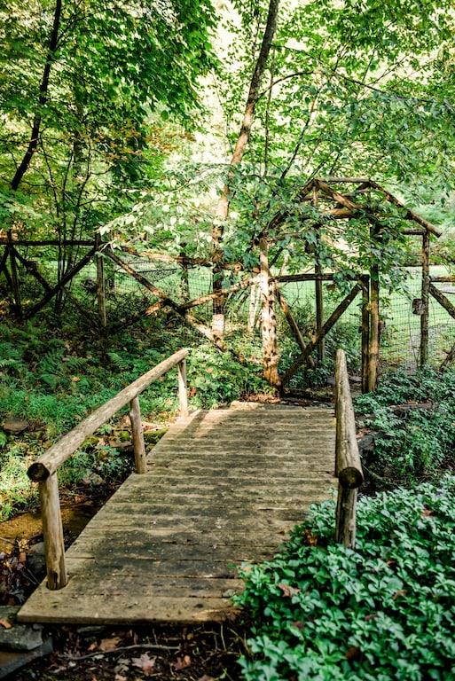 Our Woodstock House Pet Policy