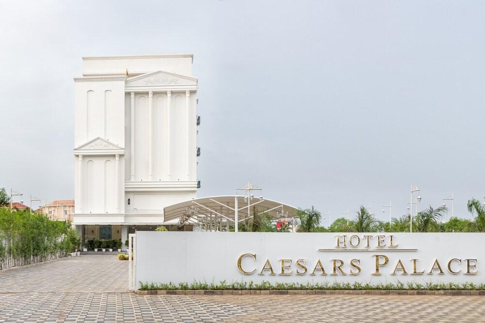 Pet Friendly Hotel Caesars Palace