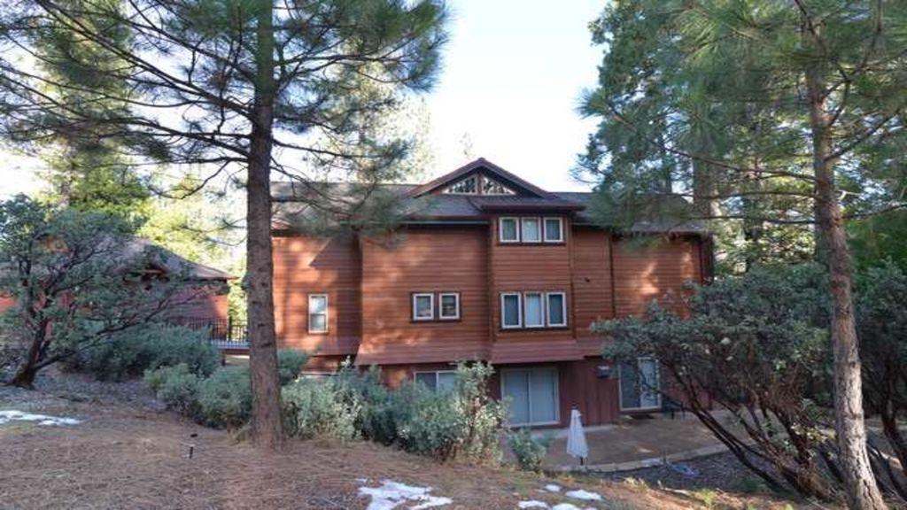 Red Viking Pet Policy