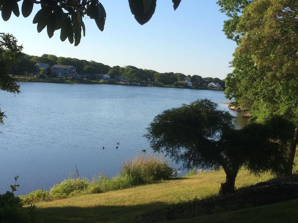 Falmouth Paradise Pet Policy