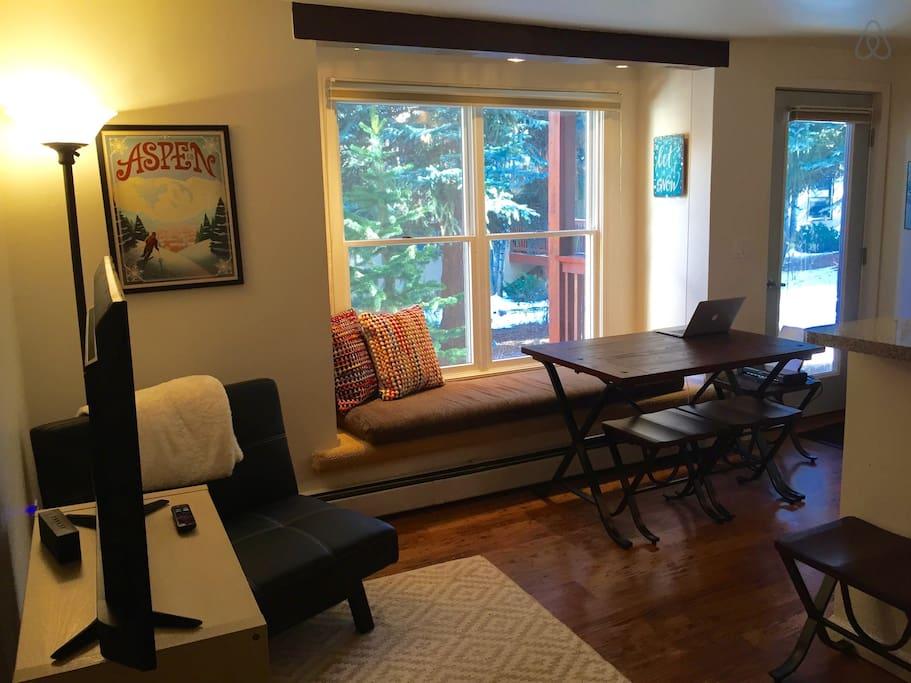 Pet Friendly Aspen Airbnb Rentals