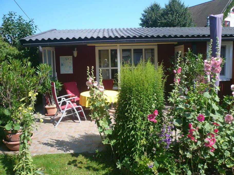 Pet Friendly Ostseebad Dierhagen Airbnb Rentals