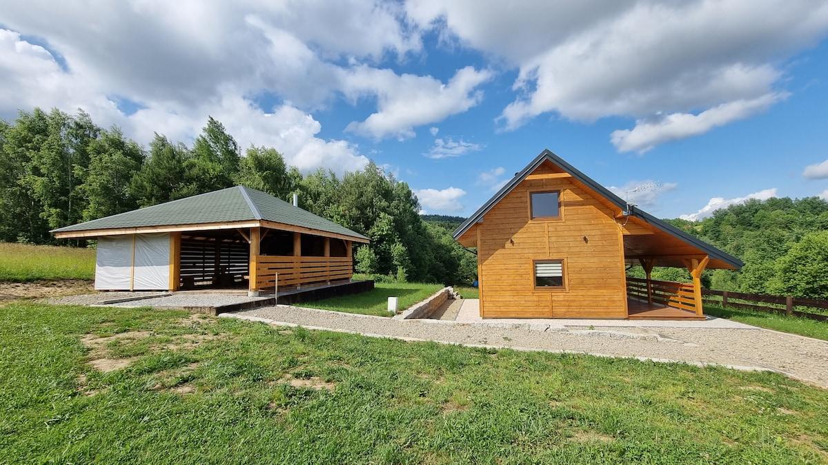 Pet Friendly Brzostek Airbnb Rentals