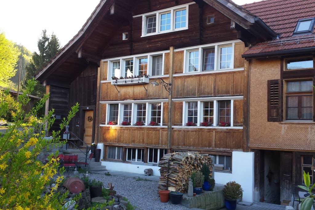 Pet Friendly Walzenhausen Airbnb Rentals