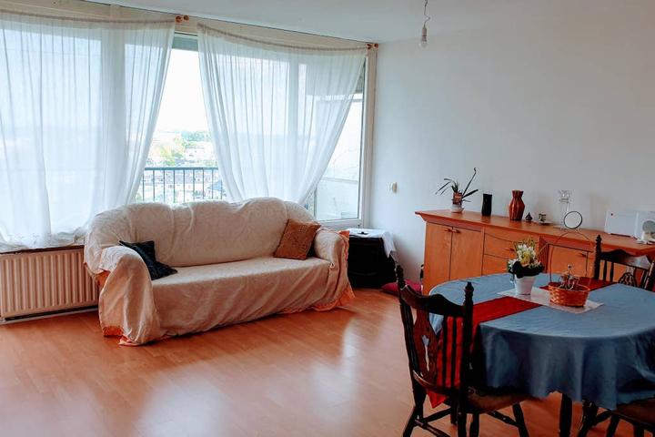 Pet Friendly Nieuwerkerk aan den Ijssel Airbnb Rentals