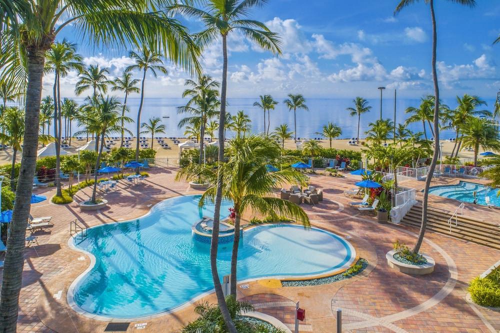 Pet Friendly Hotels in Islamorada, FL BringFido