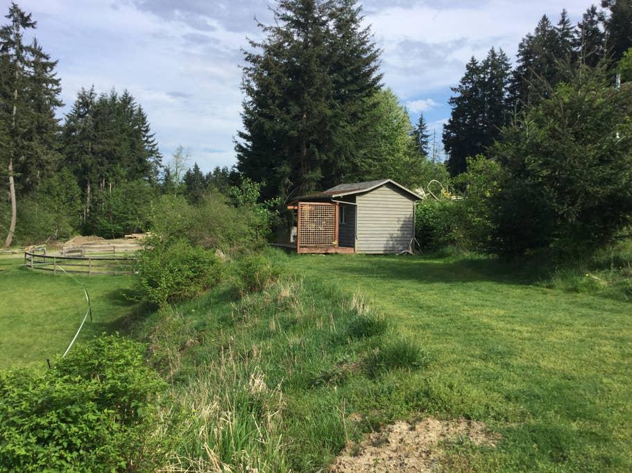 Errington Airbnb Rentals Pet Policy