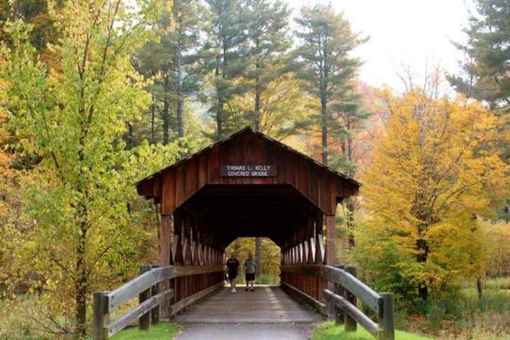 Pet Friendly Allegany State Park Campground