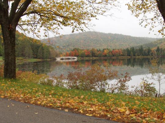 Allegany State Park Campground Pet Policy