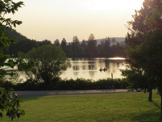 Allegany State Park Campground Pet Policy