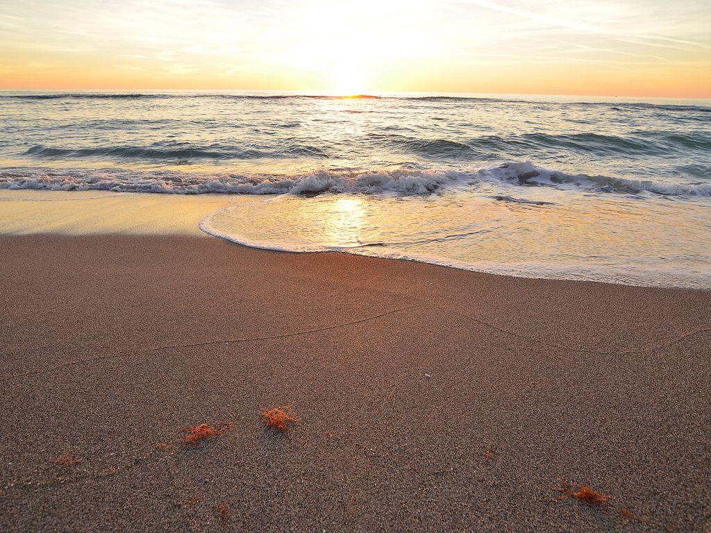 Pet Friendly Vacation Rentals In Longboat Key Fl Bringfido