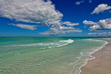 Pet Friendly Vacation Rentals In Longboat Key Fl Bringfido