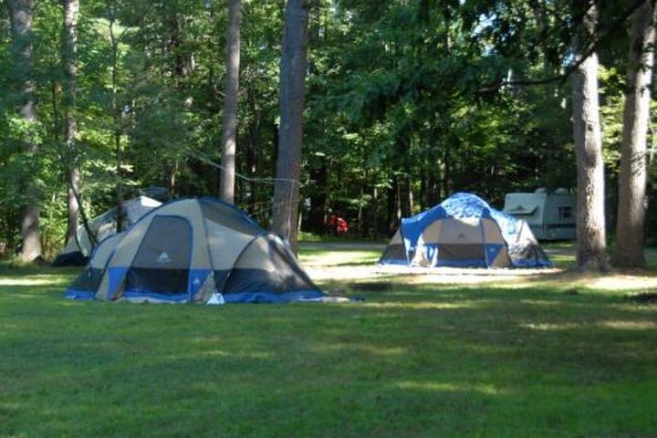 Pet Friendly Chenango Valley State Park Campground